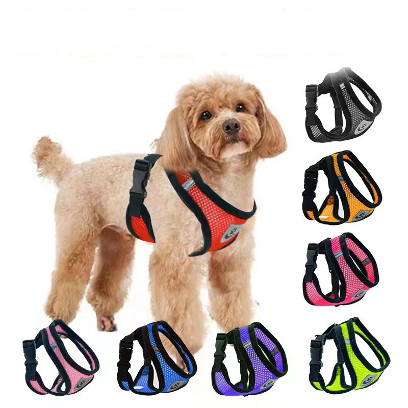 Sıcak yaz küçük köpek evcil ha - Mini Trampoline Spring incelemesi ve fiyatı