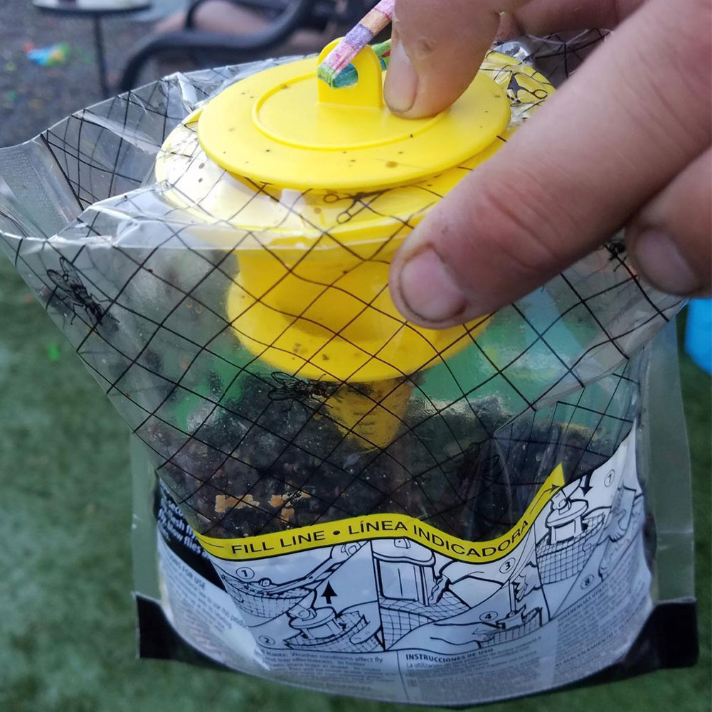 Asılı sinek tuzak çanta sinek  - Bug Catching Kit incelemesi ve fiyatı