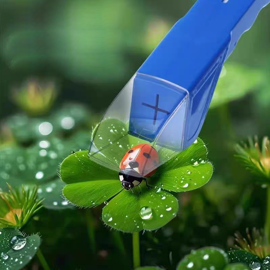 Çocuklar için Böcek Yakalama K - Kids Outdoor Equipment incelemesi ve fiyatı